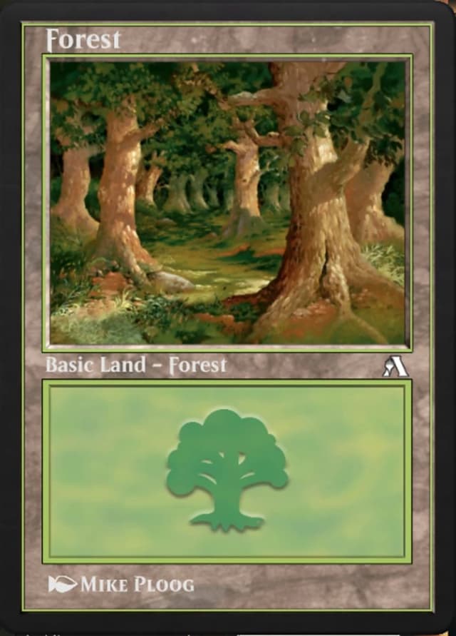 Forest image