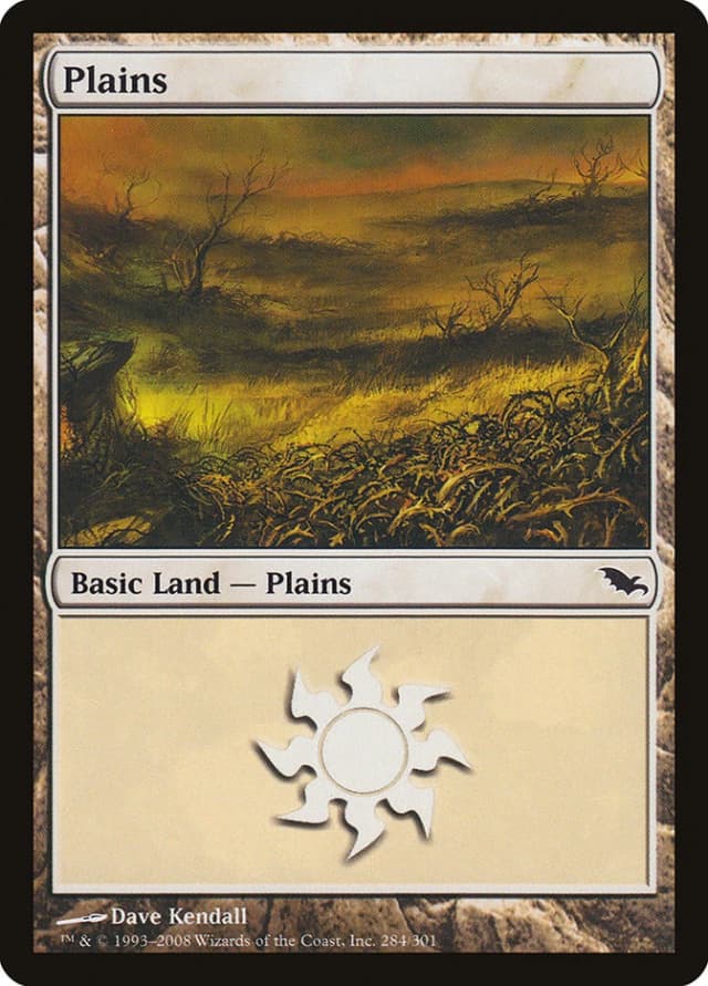 Plains image