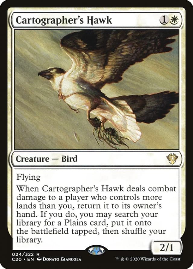 Cartographer's Hawk image