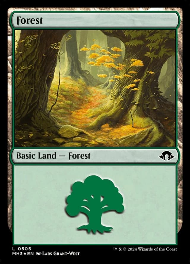 Forest image