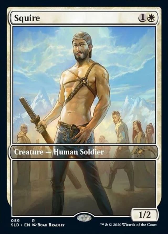 Squire image