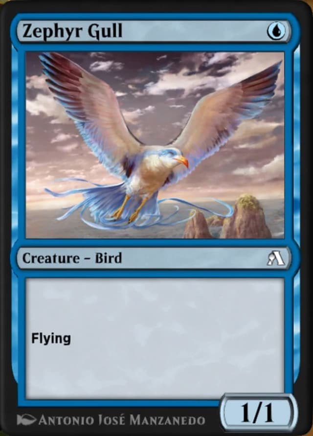 Zephyr Gull image