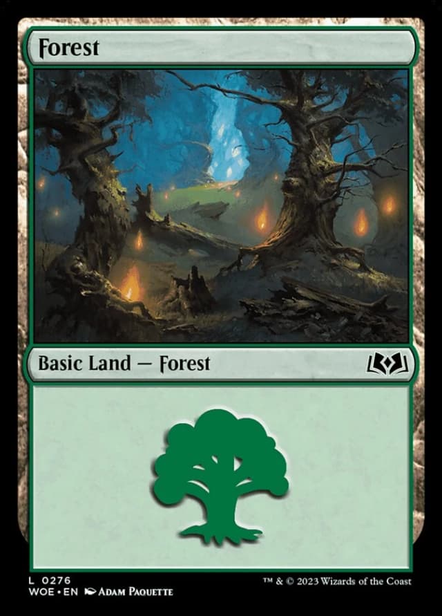 Forest image