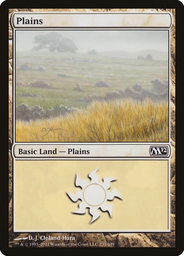 Plains image