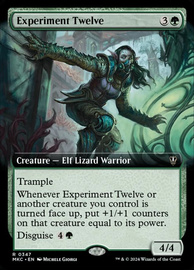 Experiment Twelve image