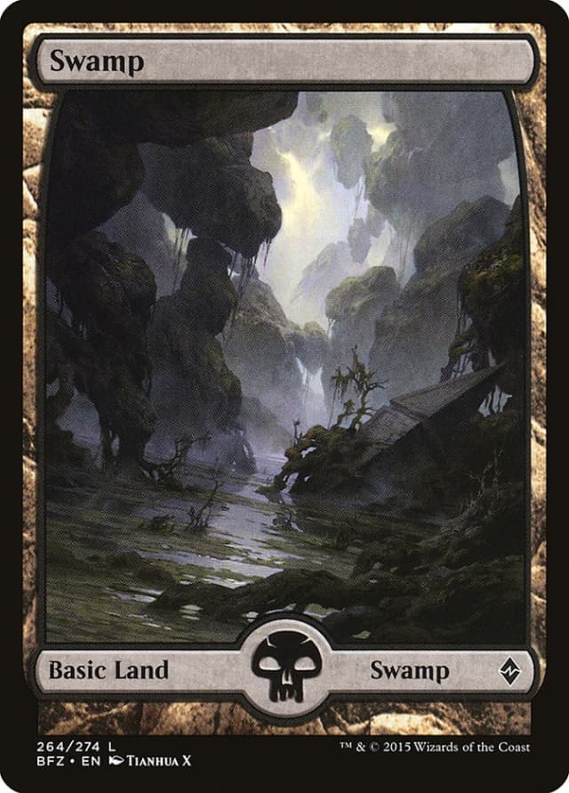 Swamp image