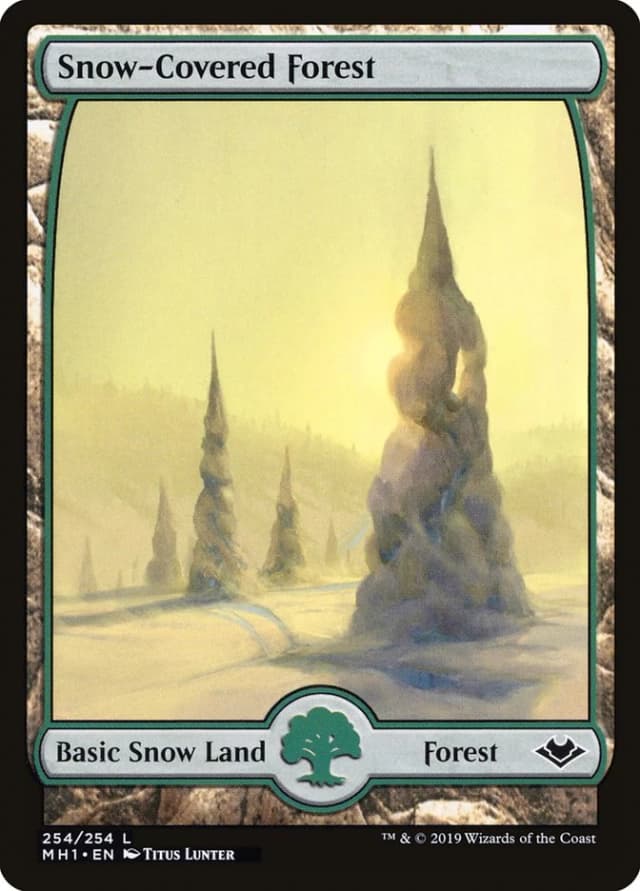 Snow-Covered Forest image