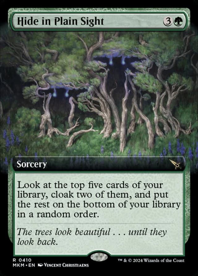 Hide in Plain Sight image