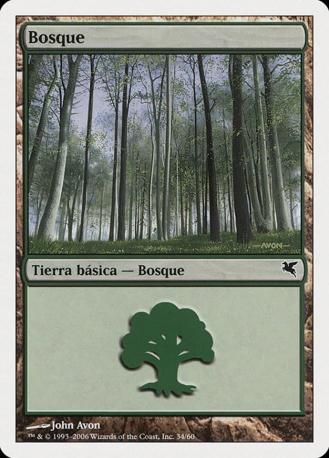 Forest image