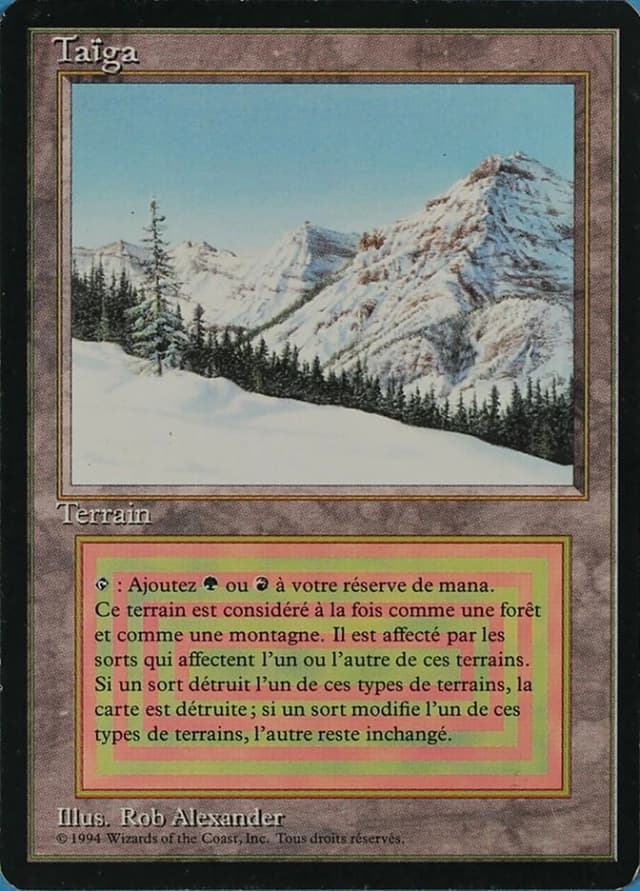 Taiga image