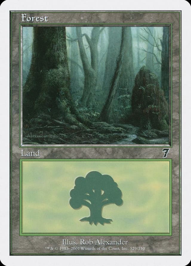 Forest image