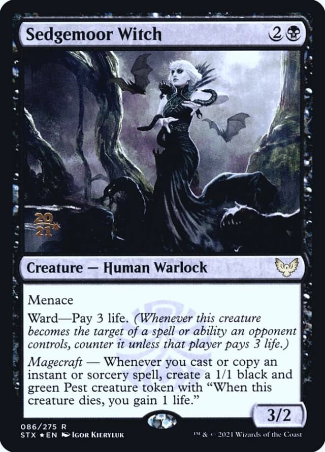 Sedgemoor Witch image