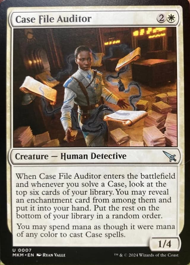 Case File Auditor image
