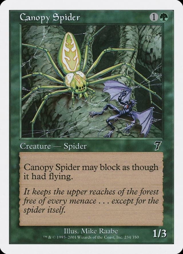 Canopy Spider image