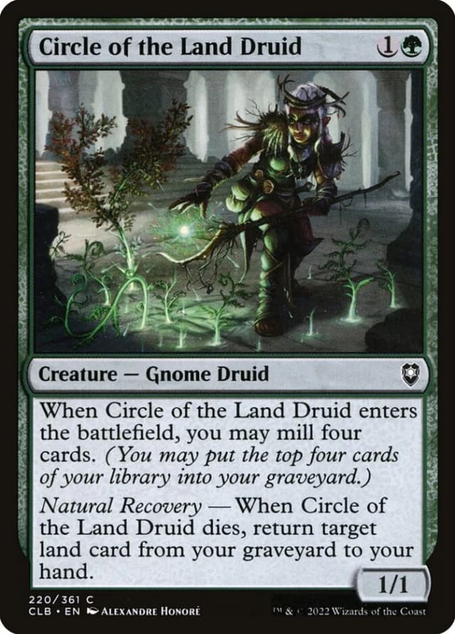 Circle of the Land Druid image