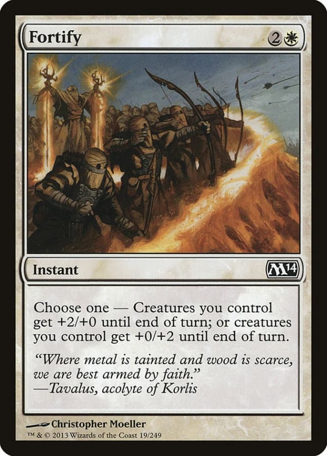 Fortify image