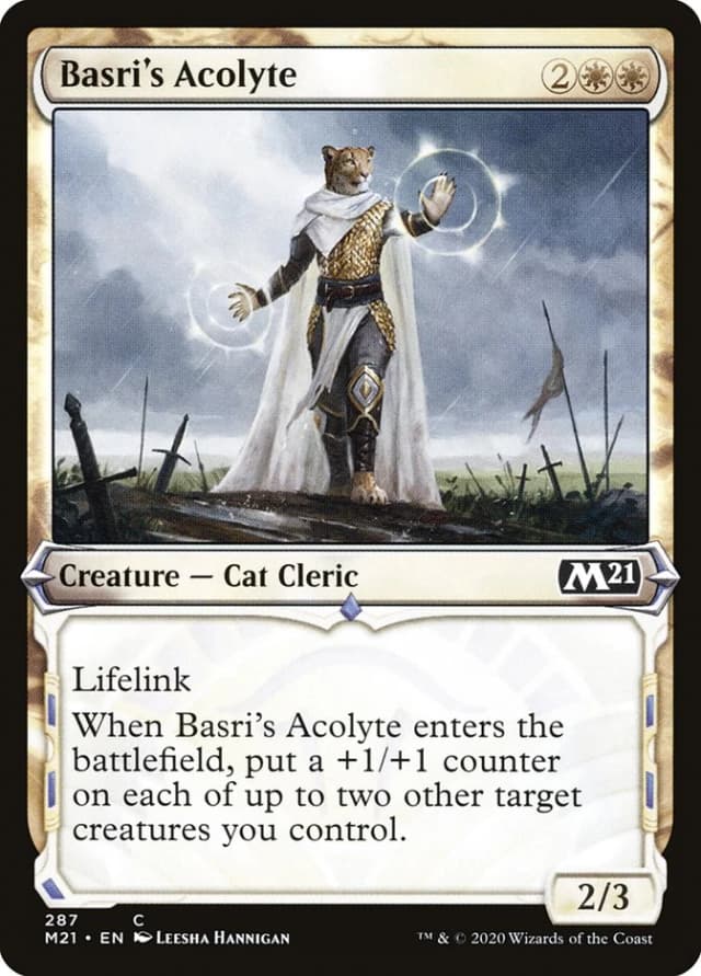 Basri's Acolyte image