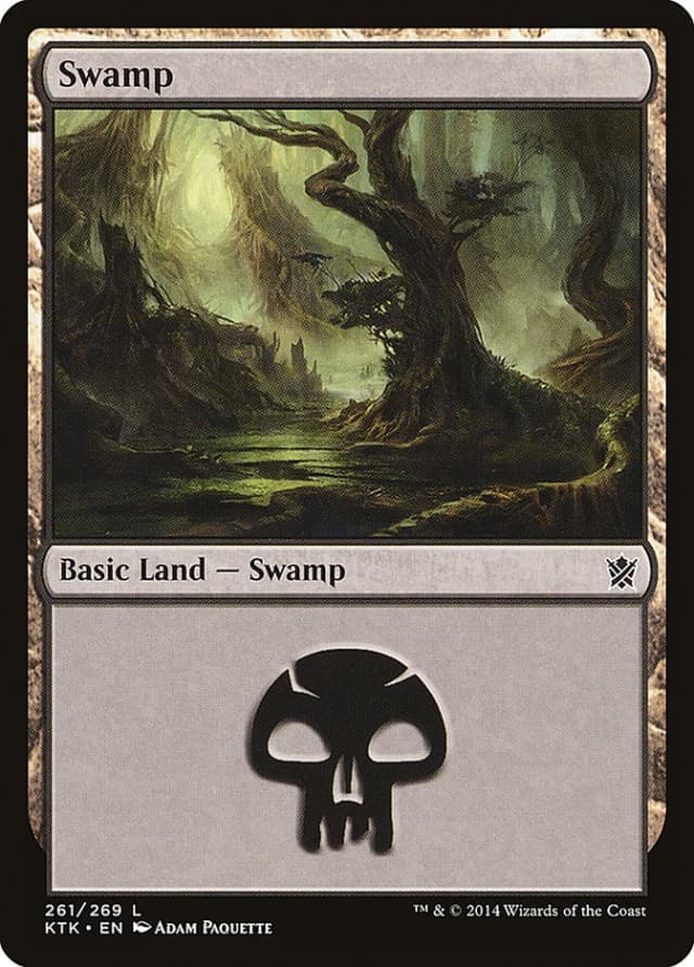 Swamp image
