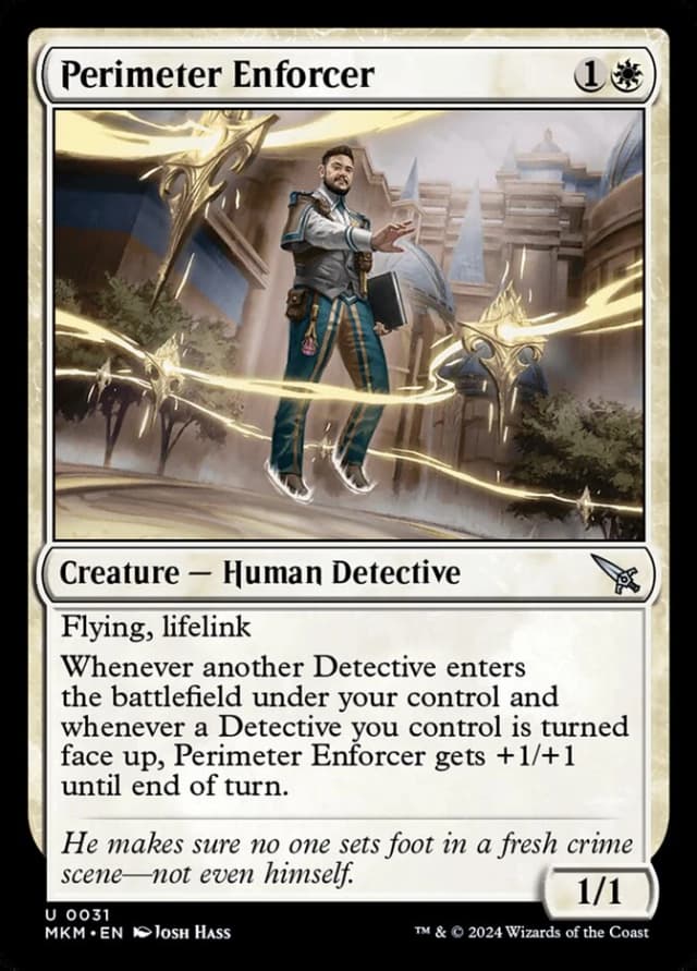 Perimeter Enforcer image