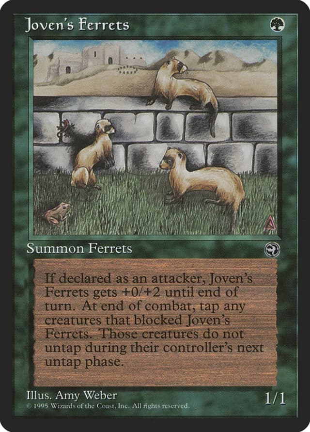 Joven's Ferrets image