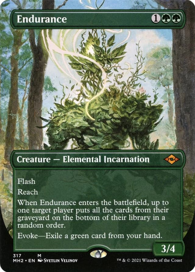 Endurance image