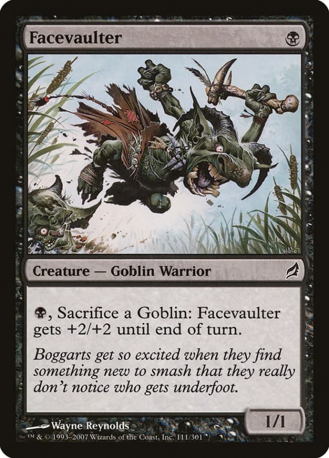 Facevaulter image