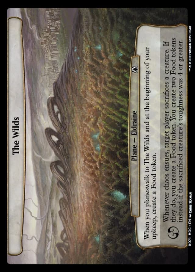 The Wilds image