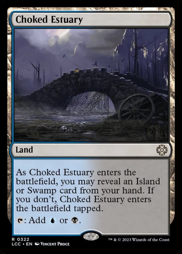 Choked Estuary image