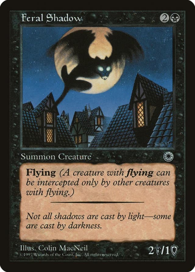Feral Shadow image