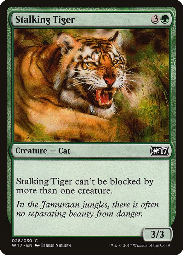 Stalking Tiger image