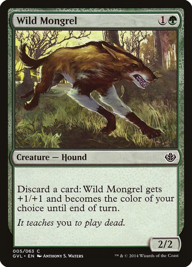 Wild Mongrel image