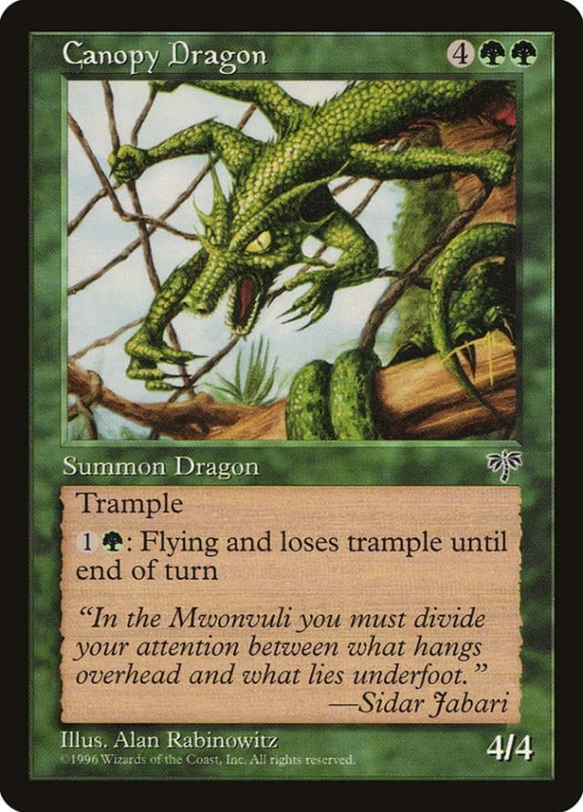 Canopy Dragon image