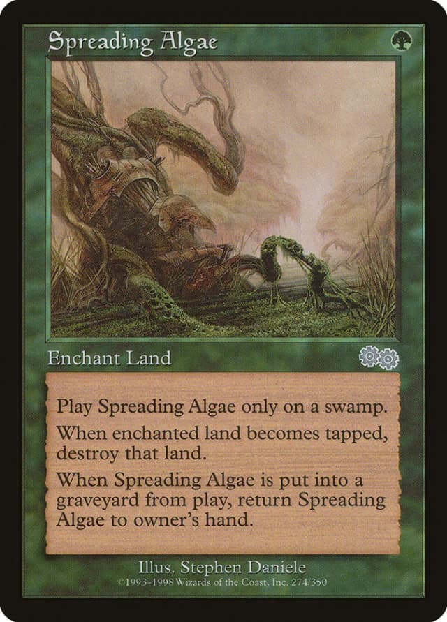 Spreading Algae image