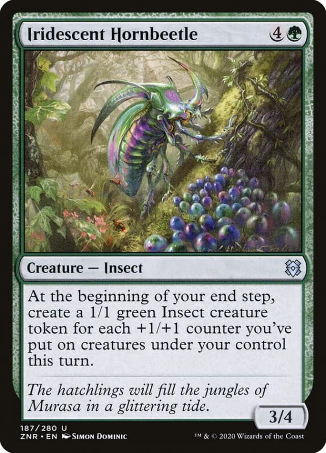 Iridescent Hornbeetle image