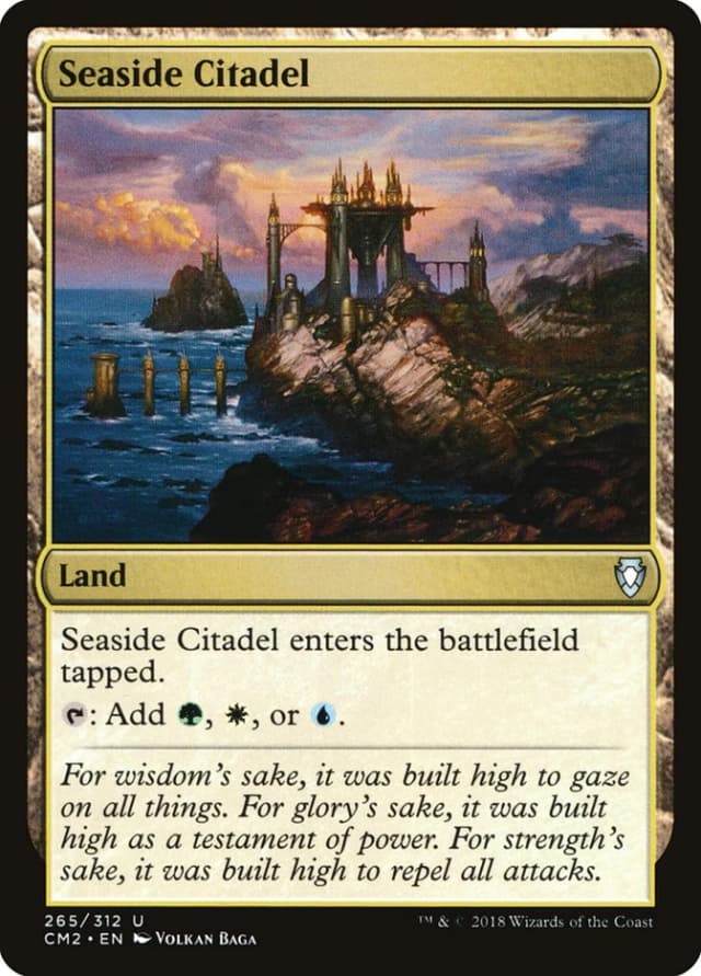 Seaside Citadel image