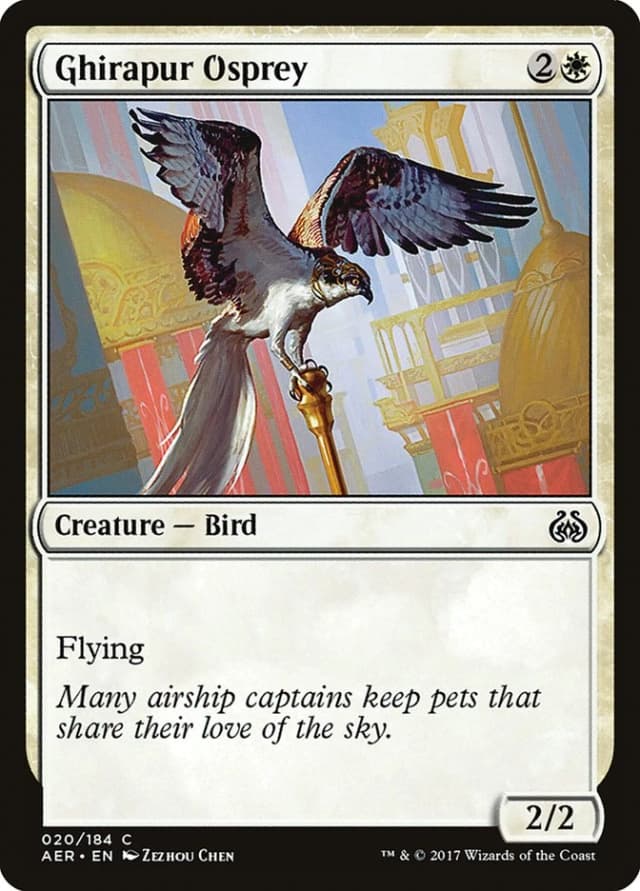 Ghirapur Osprey image