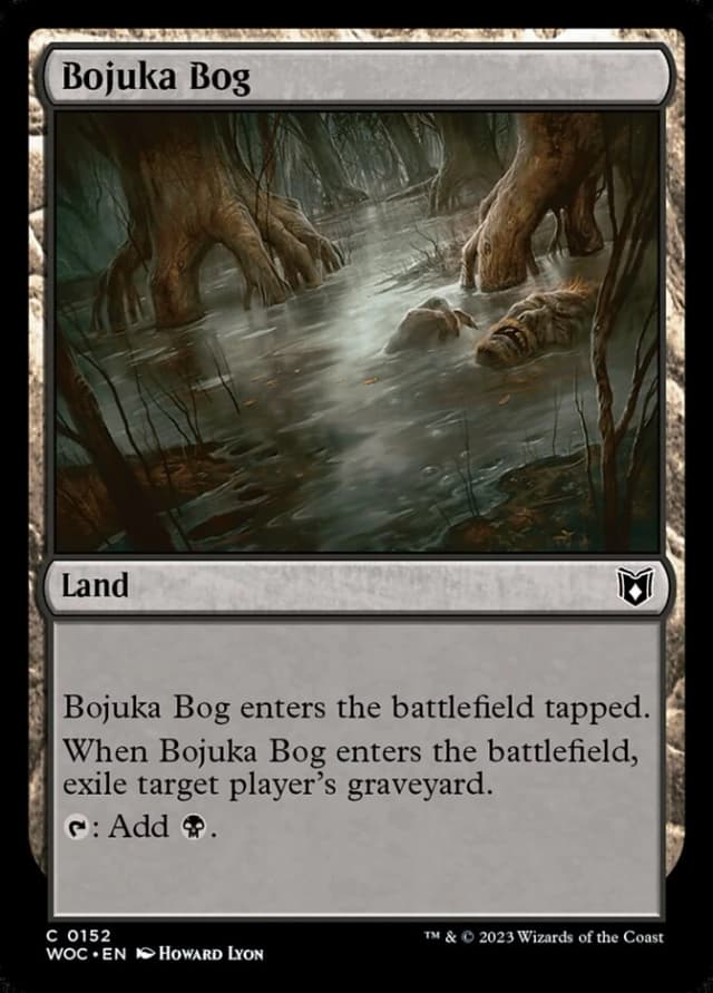Bojuka Bog image