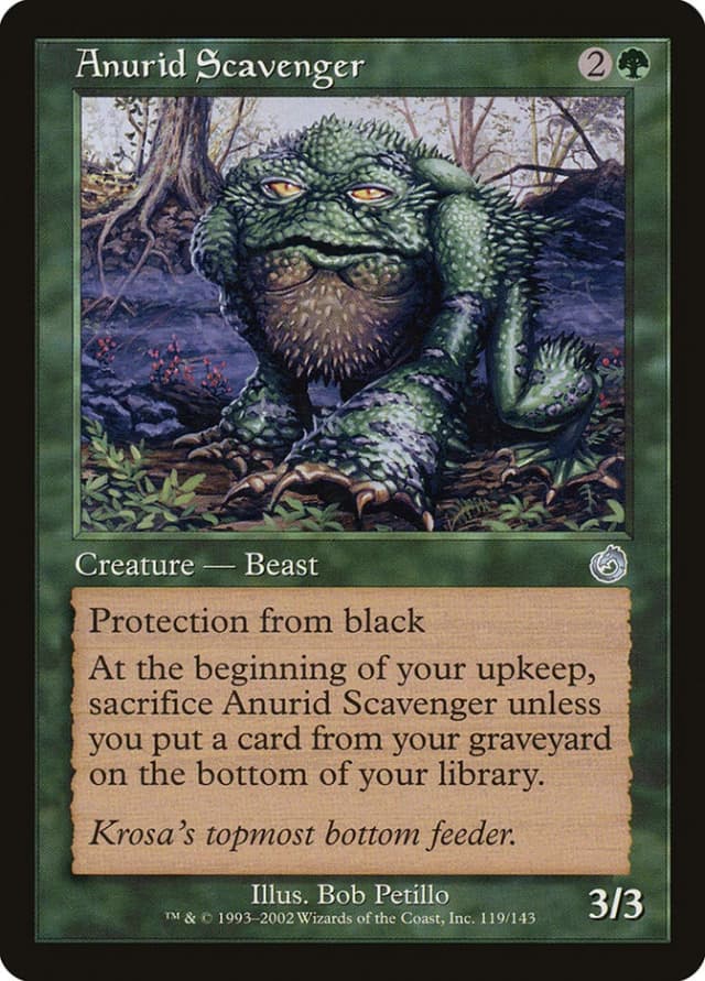 Anurid Scavenger image
