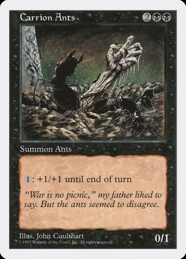 Carrion Ants image