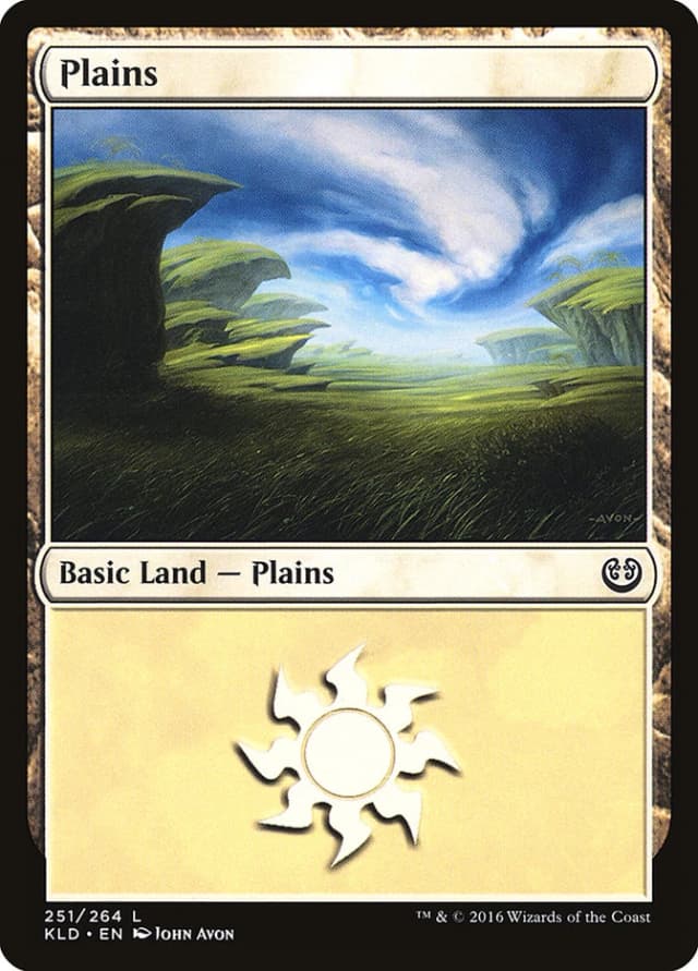 Plains image