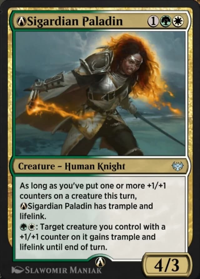 A-Sigardian Paladin image