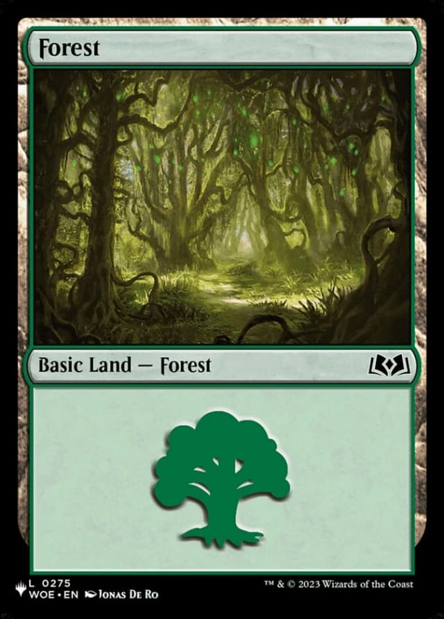 Forest image