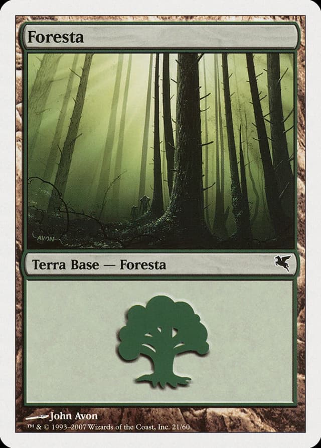 Forest image