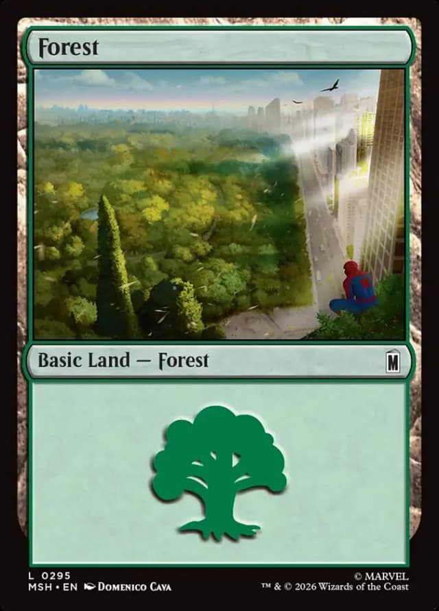 Forest image