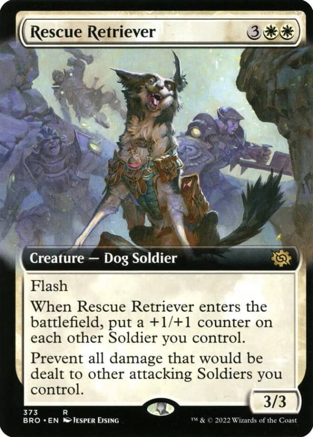 Rescue Retriever image