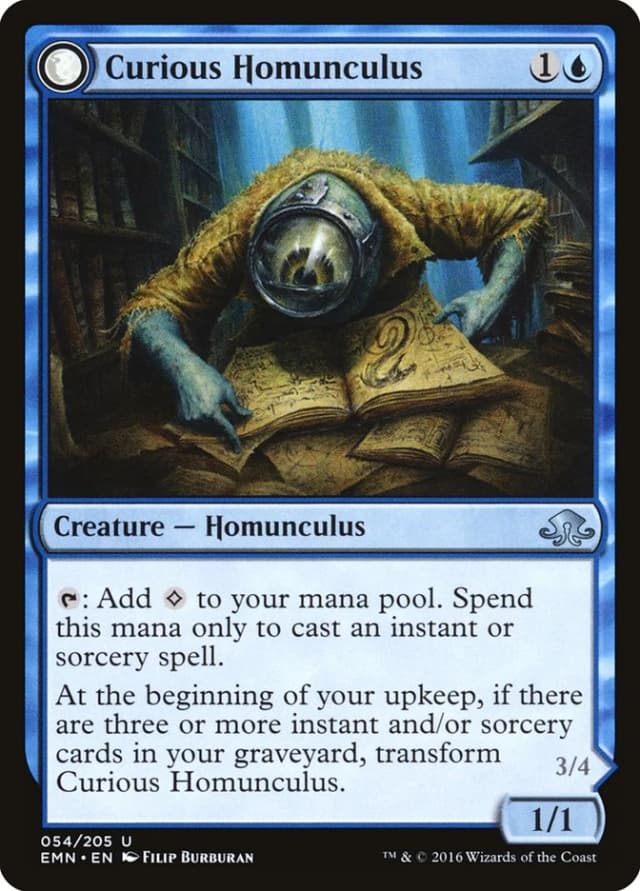 Curious Homunculus // Voracious Reader image