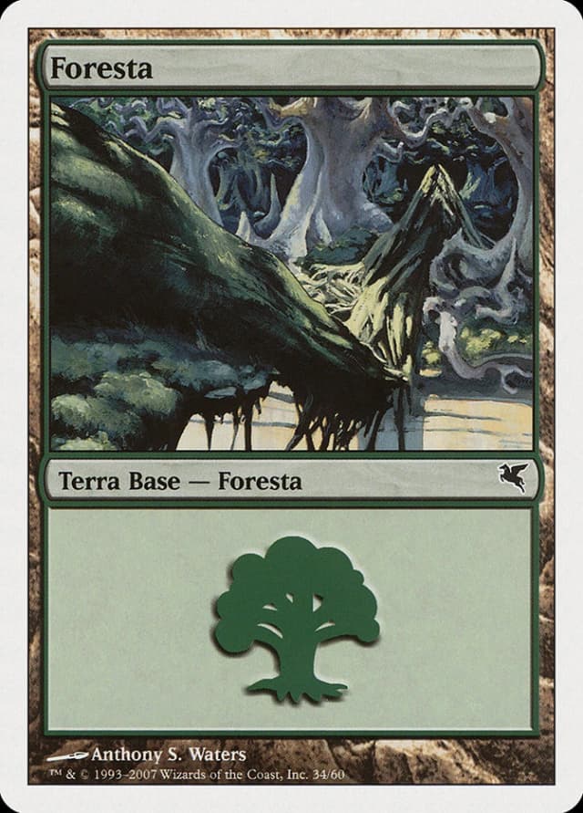 Forest image
