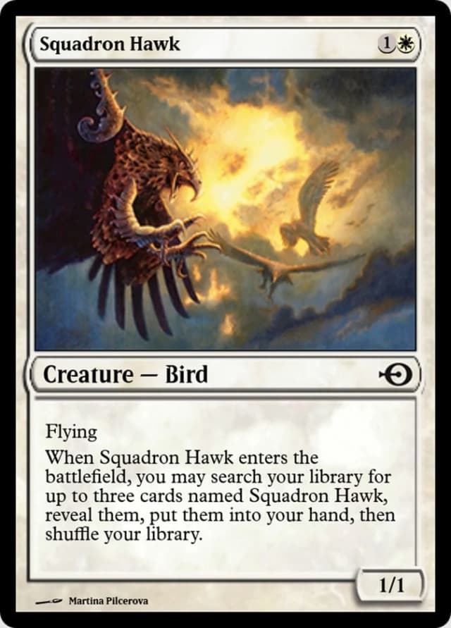 Squadron Hawk image