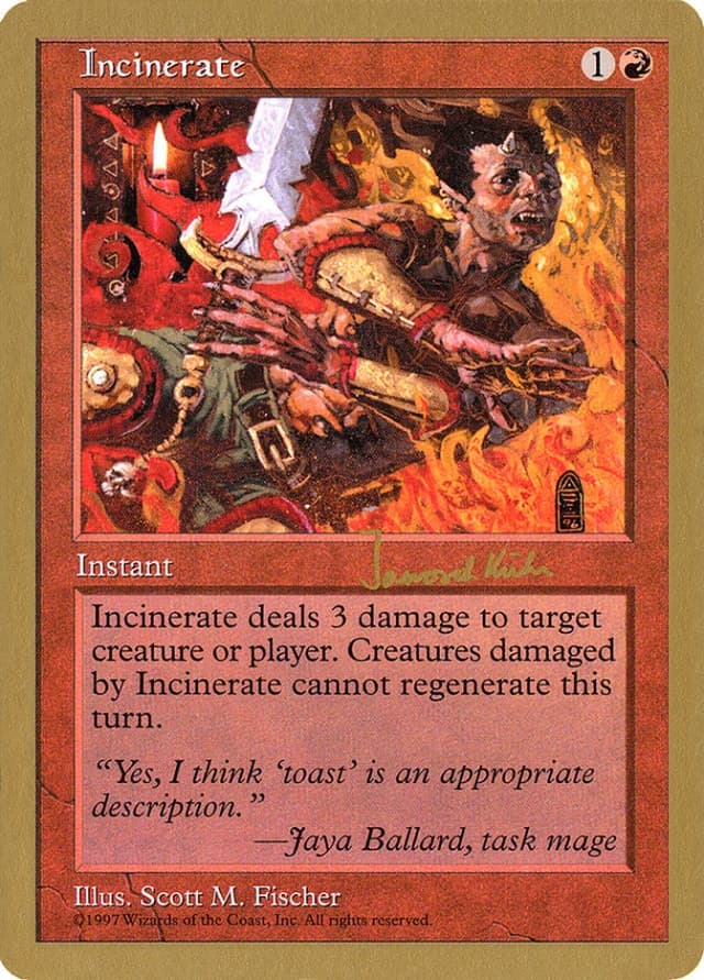 Incinerate image