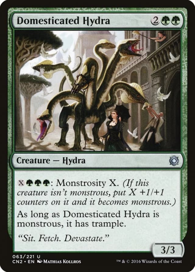 Domesticated Hydra image